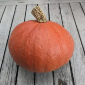 Potimarron